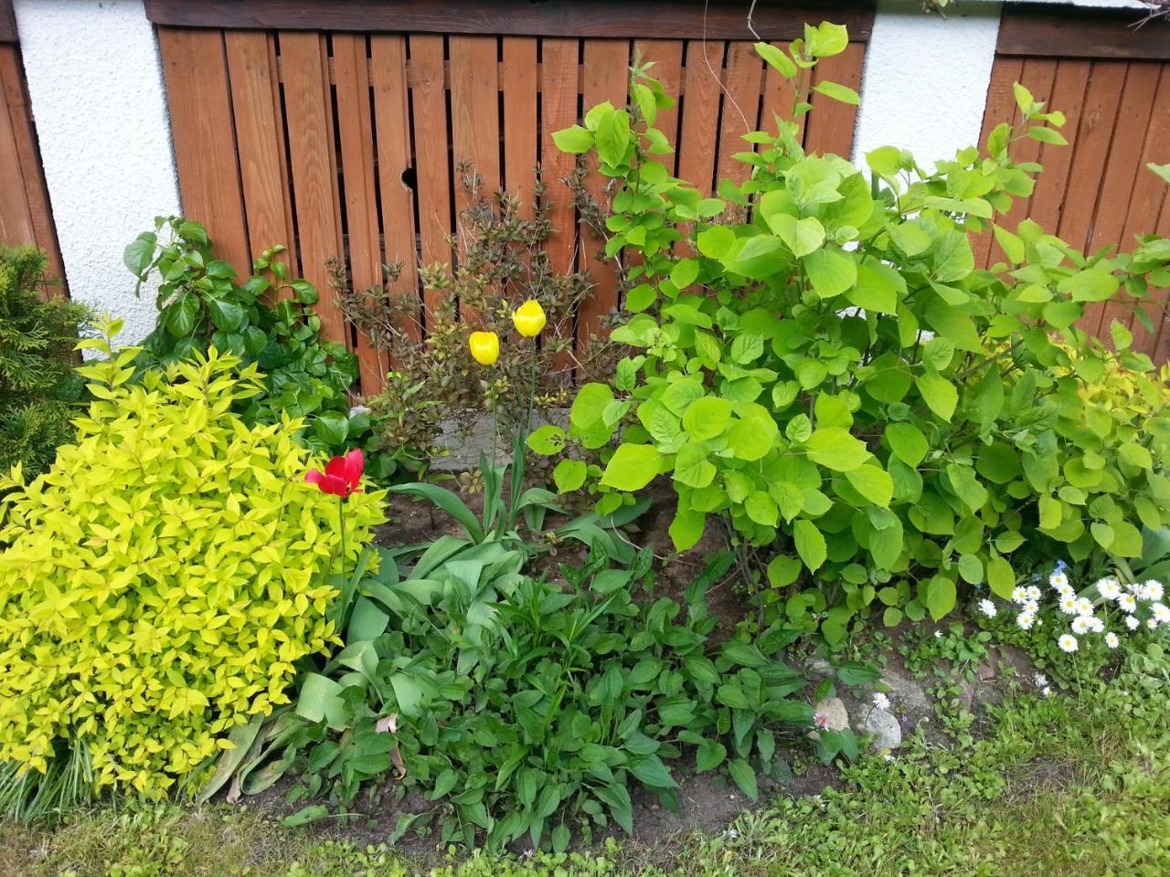 Cudodomek Na Mazurach W Woszczelach Kolo Elku Extérieur photo